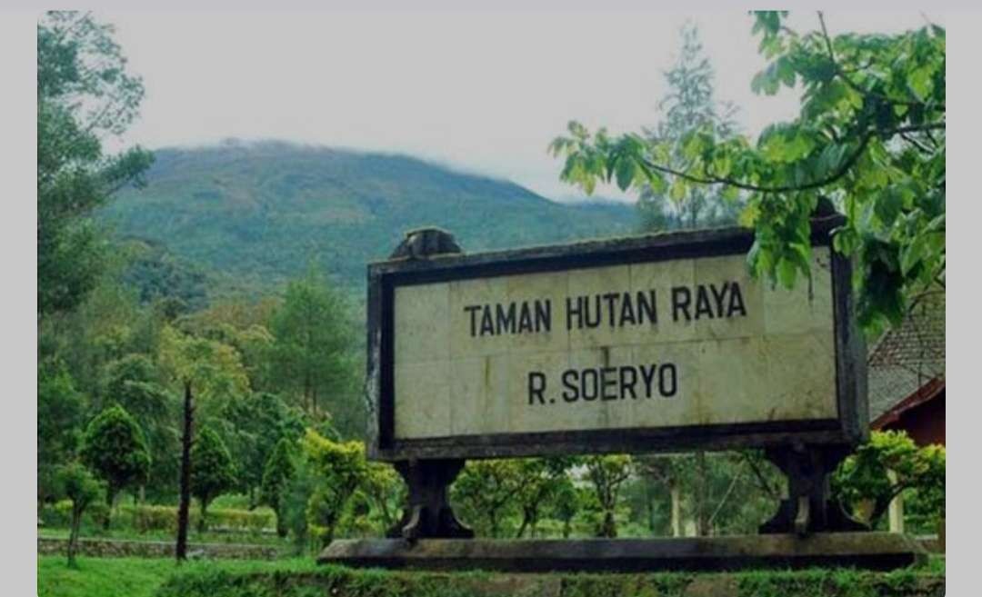 Wilayah Tahura Raden Soerjo.(Foto: Istimewa)