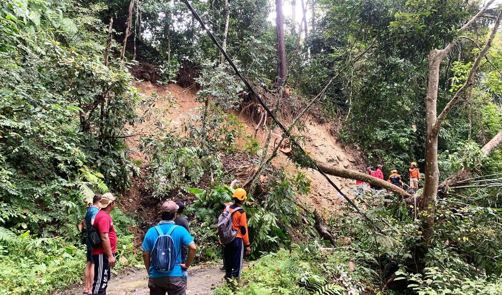 Longsor yang terjadi di jalur menuju Sukamade, Desa Sarongan, Kecamatan Pesanggaran, Banyuwangi yang terputus akibat material longsor. (Foto: Istimewa)