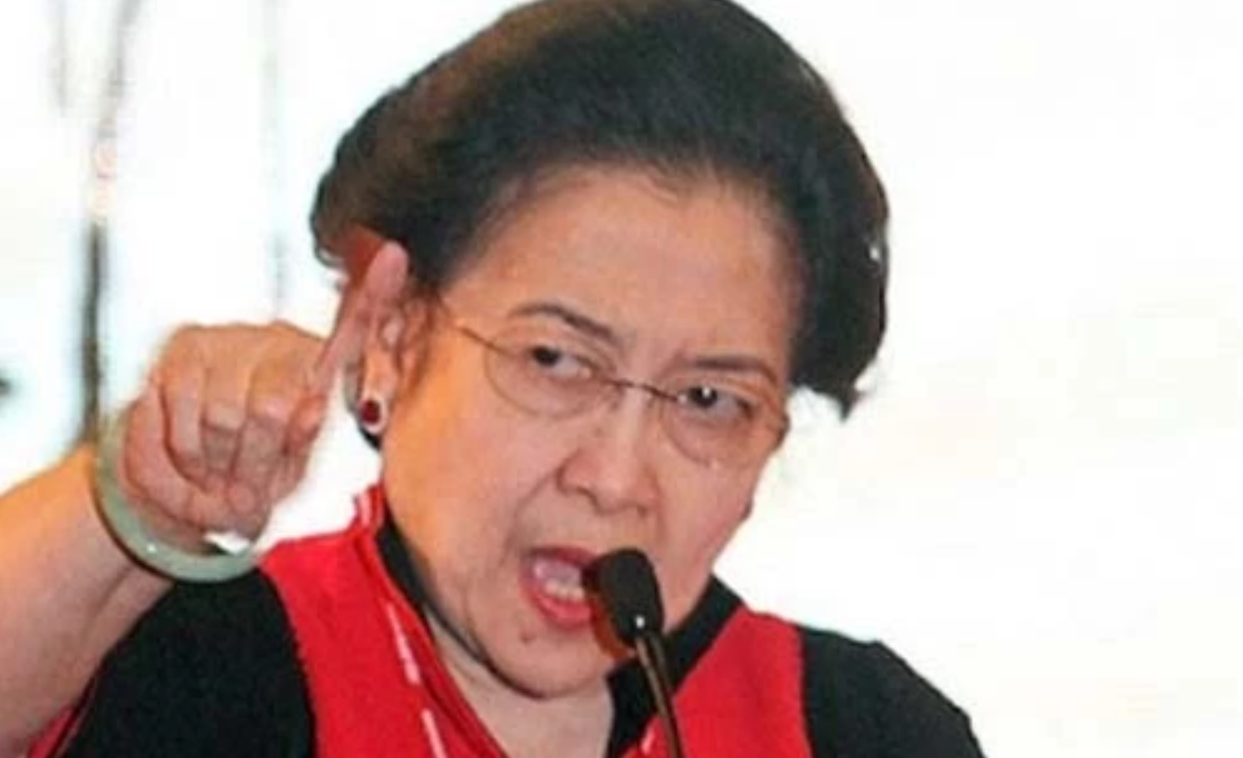 Ketua Umum PDI Perjuangan Megawati Soekarnoputri . (Foto:Antara)