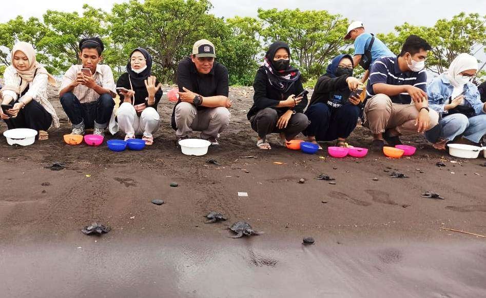 Tim dari SIKIA Unair melepasliarkan tukik hasil penetasan dengan Intan Box di pantai Pulau Santen Jumat Sore (foto: Muh Hujaini/Ngopibareng.id)