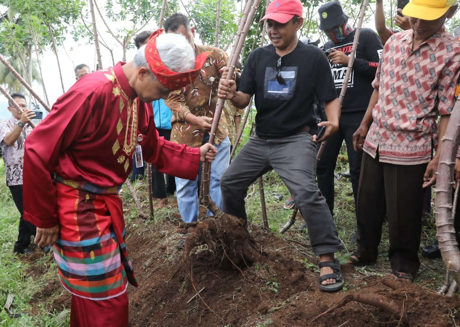 Gubernur Jawa Tengah Ganjar Pranowo meninjau kebun singkong di Banjarnegara. (Foto: Dokumentasi Jateng)