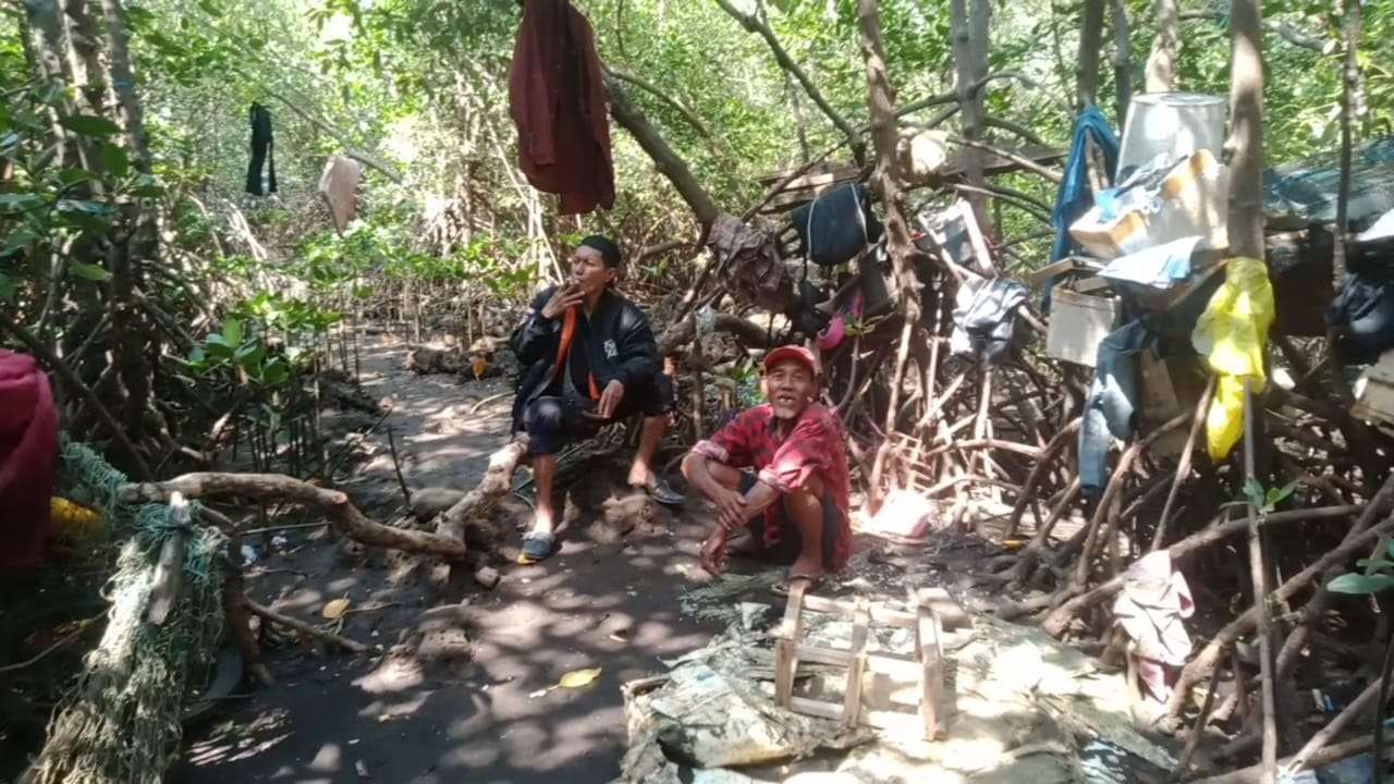 Agus Sugiarto, 76 tahun, hidup sebatang kara di gubug reot di kawasan hutan mangrove, Kota Probolinggo. (Foto: Ikhsan Mahmudi/Ngopibareng.id)