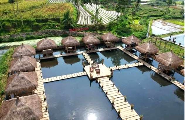 Gazebo terapung di Desa Wisata Tirta Agung Bondowoso  tempat pengunjung duduk santai sambil menikmati makan dan pemandangan alam pedesaan. (Foto:disparbudpora Bondowoso)