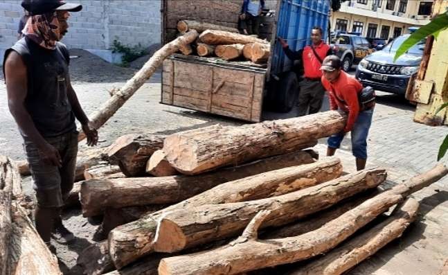 Tiga puluh batang kayu jati diduga hasil curian dari kawasan hutan jati Pasir Putih Situbondo diamankan di Mapolres Situbondo. (Foto: Humas Polres Situbondo)