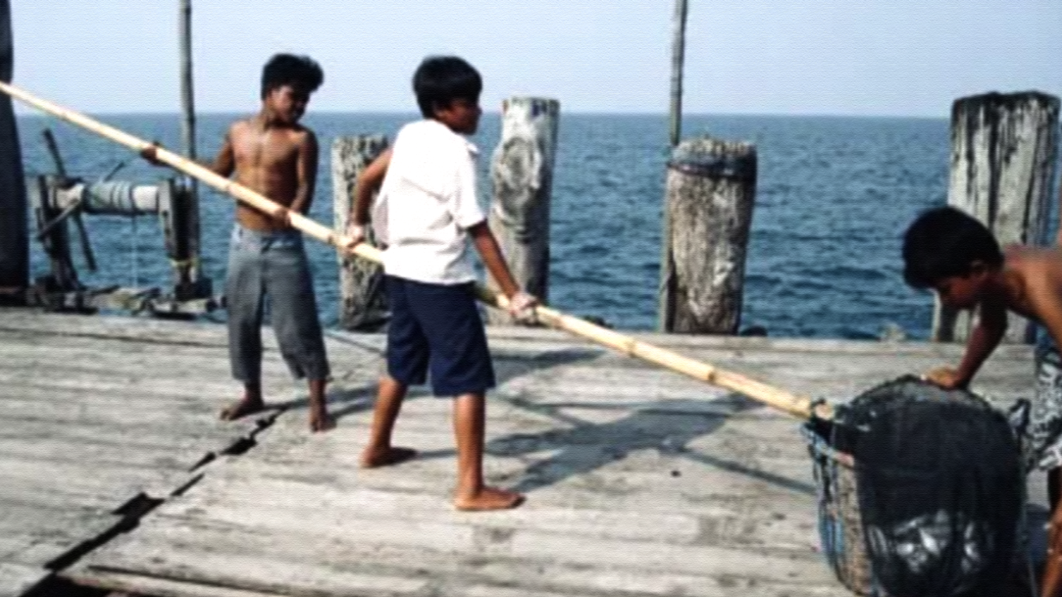 Anak-anak di bawah umur yang ikut bekerja di sebuah pantai, membantu perekonomian keluarga. (Foto: Dok. Lautsehat.id)
