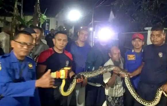 Petugas Damkar Satpol PP Bondowoso mengevakuasi ular liar dari rumah warga. (Foto: Guido Saphan/Ngopibareng.id)