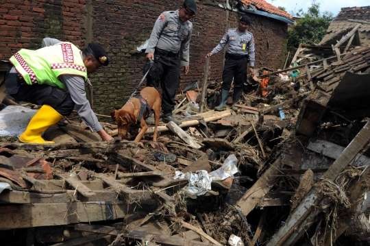 Tim K-9 (tim anjing pelacak) Polda Jabar diterjunkan untuk membantu mencari korban yang belum diketemukan dalam gempa bumi di Kabupaten Cianjur, Senin 21 November 2022. (Foto: dok. Indonesiakini)