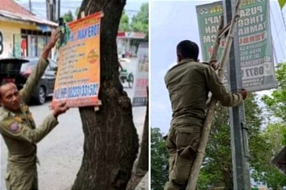 Anggota Satpol PP Bondowoso mencopoti satu persatu banner reklame terpasang di pohon yang melanggar aturan.(foto:guido Saphan/ngopibareng.id)