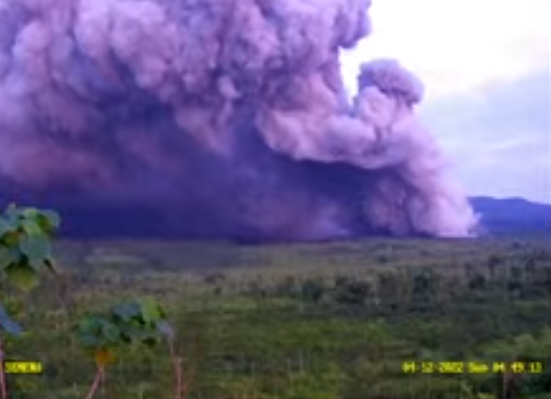 Badan Nasional Penanggulangan Bencana (BNPB) melaporkan, guguran awan panas Gunung Semeru sejauh 7 kilometer. (Foto: CCTV PVMBG)