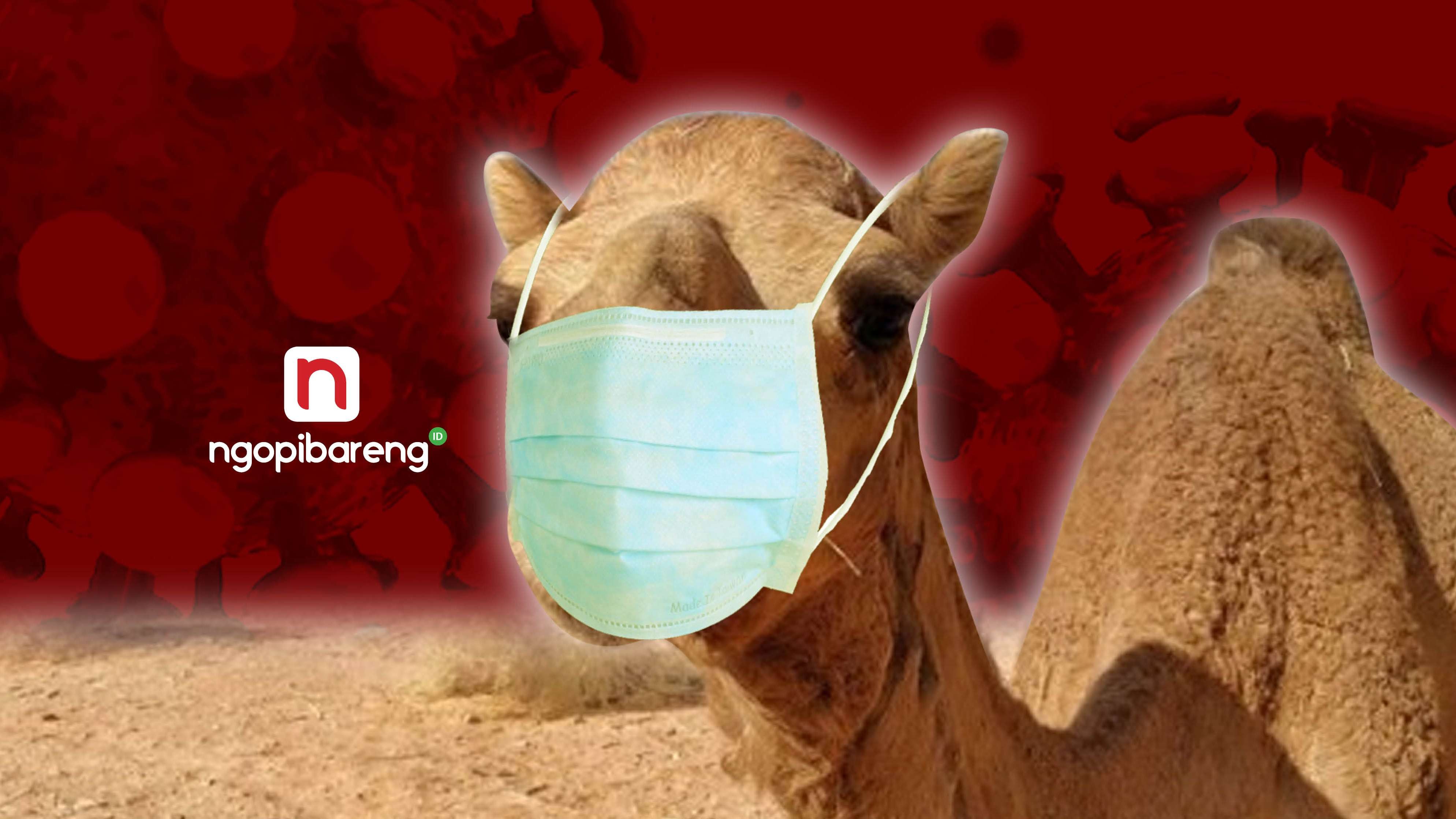 WHO mengingatkan kewaspadaan penularan flu unta digelaran Piala Dunia 2022 Qatar. (Ilustrasi: Fa Vidhi/Ngopibareng.id)