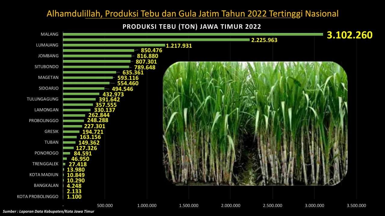 Data produksi tebu dan gula di Jatim. (Foto: Disbun Jatim)