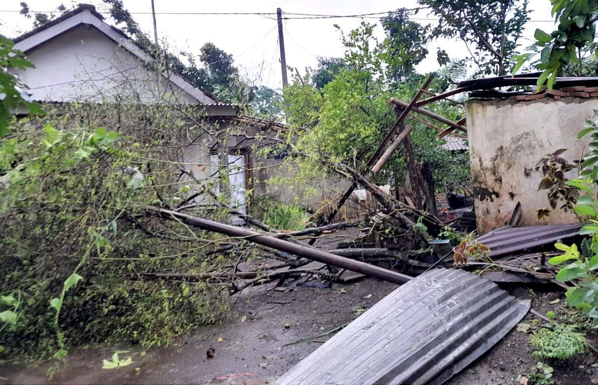 Angin puting beliung porak-porandakan puluhan rumah dan tumbangkan pohon di dua desa, Kecamatan Curahdami Bondowoso, Selasa 13 Desember 2022 sore.(foto:guido saphan/ngopibareng.id)