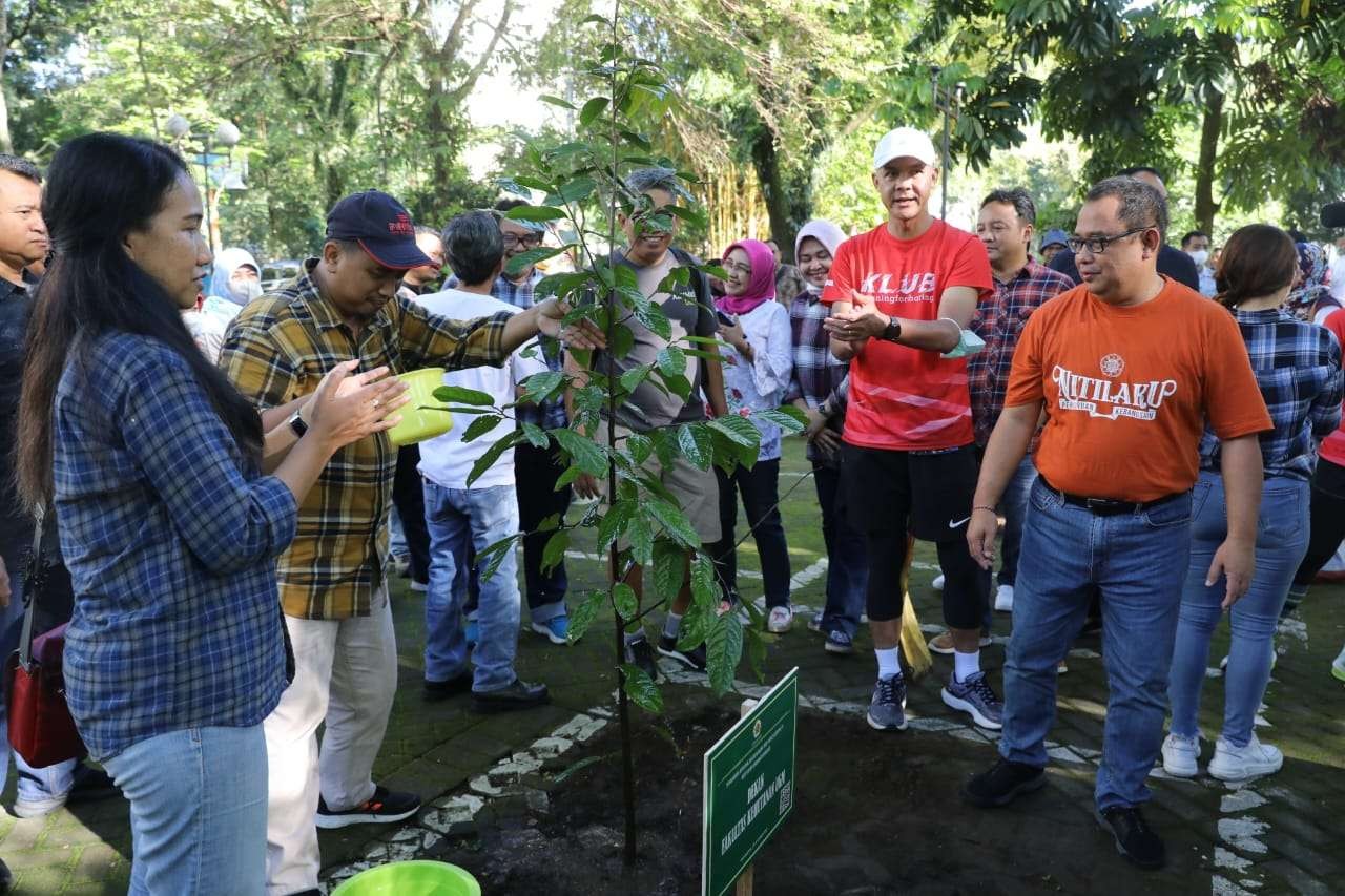 Tanam pohon kepel atau disebut juga buharol merupakan pohon penghasil buah hidangan meja, yang menjadi flora identitas Daerah Istimewa Yogyakarta. (Foto: Pemprov Jateng)