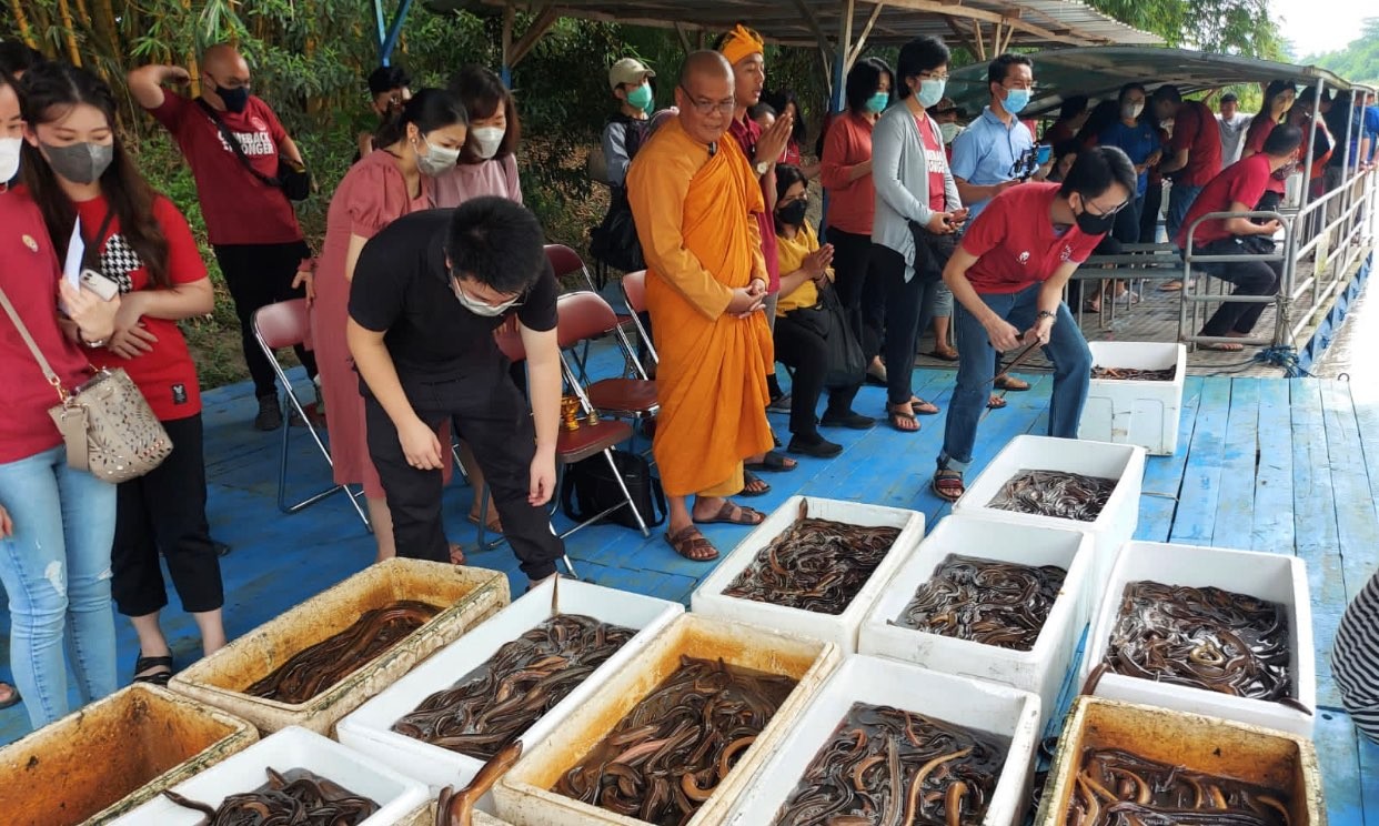 Young Buddhist Association Indonesia lepaskan ribuan jenis ikan di Sungai Kalimas Surabaya, Sabtu 24 Desember 2022. (Foto: Dokumentasi Ecoton)