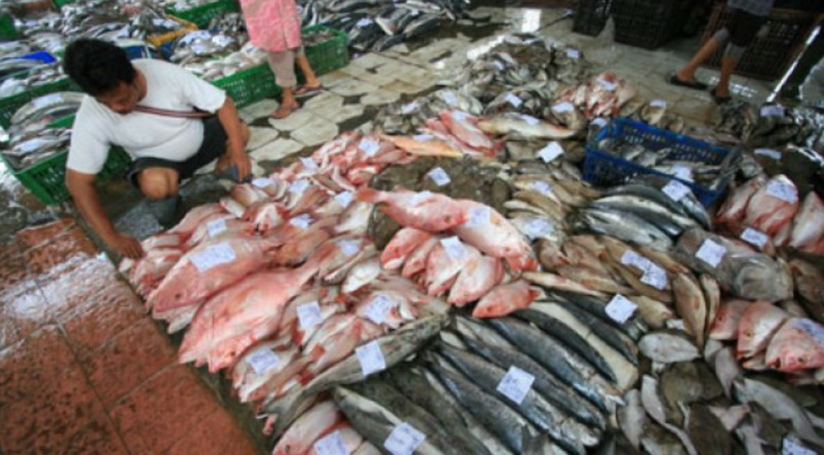 Salah satu hasil laut di pasar ikan. (Foto: KKP news)