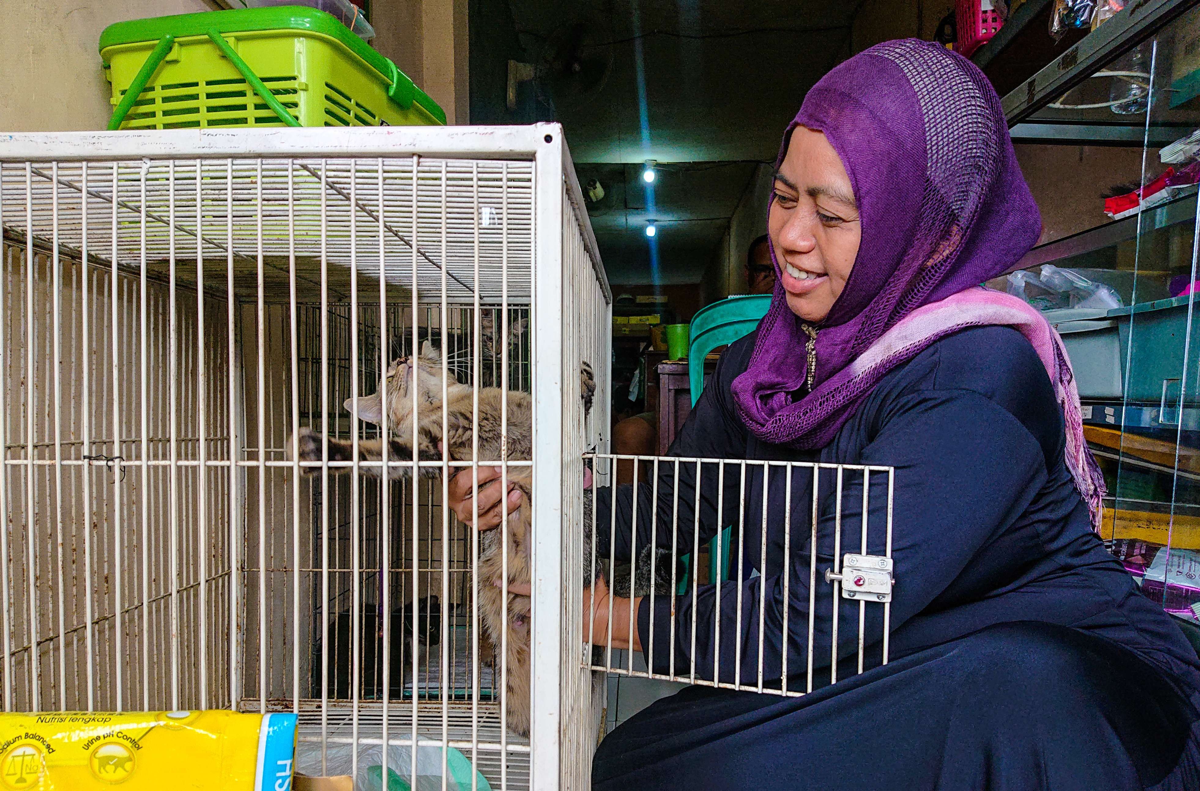 Diah merawat kucing titipan di rumahnya. (Foto: Aini Arifin/Ngopibareng.id)