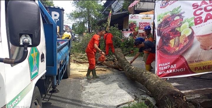 Evakuasi pohon tumbang di Kecamatan Kedungkandang, Kota Malang (Foto: BPBD Kota Malang)