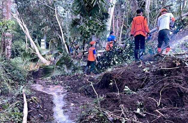 Anggota Tim RSC BPBD Bondowoso memotong dan mengevakuasi pohon tumbang di Tlogosari.(Foto: Guido/Ngopibareng.id)