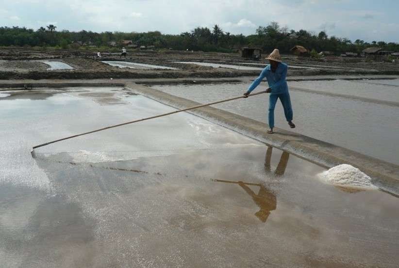Salah satu petani garam di Kabupaten Probolinggo sedang memanen garam. (Foto: Ikhsan Mahmudi/Ngopibareng.id)