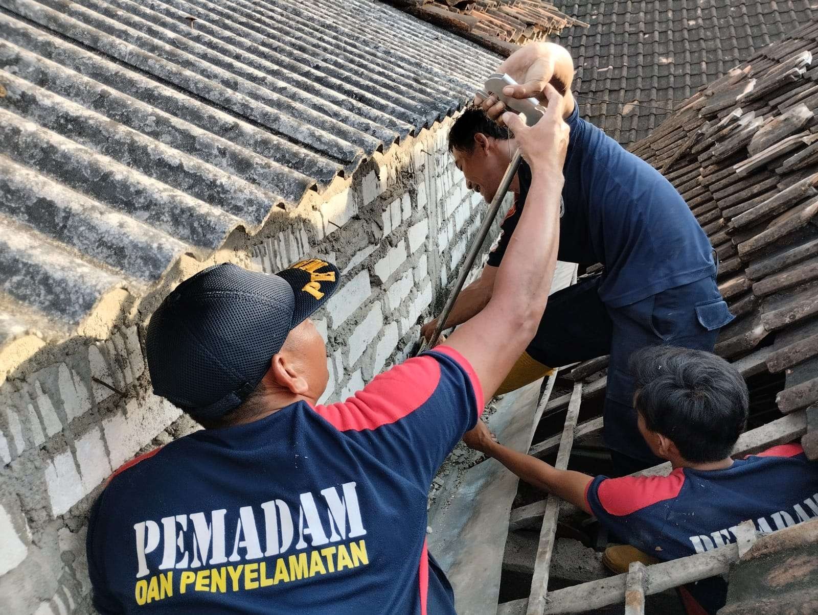 Petugas Damkar Korwil Paciran saat melakukan evakuasi ular sanca kembang di atap rumah milik Mustain (Foto: Istimewa)