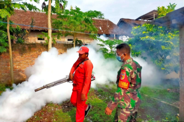 Babinsa Kodim 0822 Bondowoso mendampingi petugas dinkes melakukan fogging permukiman warga. (Foto: Guido/Ngopibareng.id)