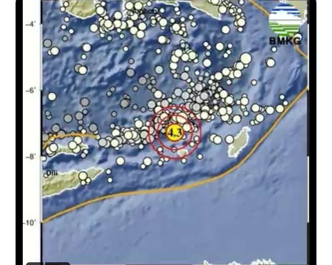 Gempa bumi di Maluku. (Grafis: Twitter BMKG)