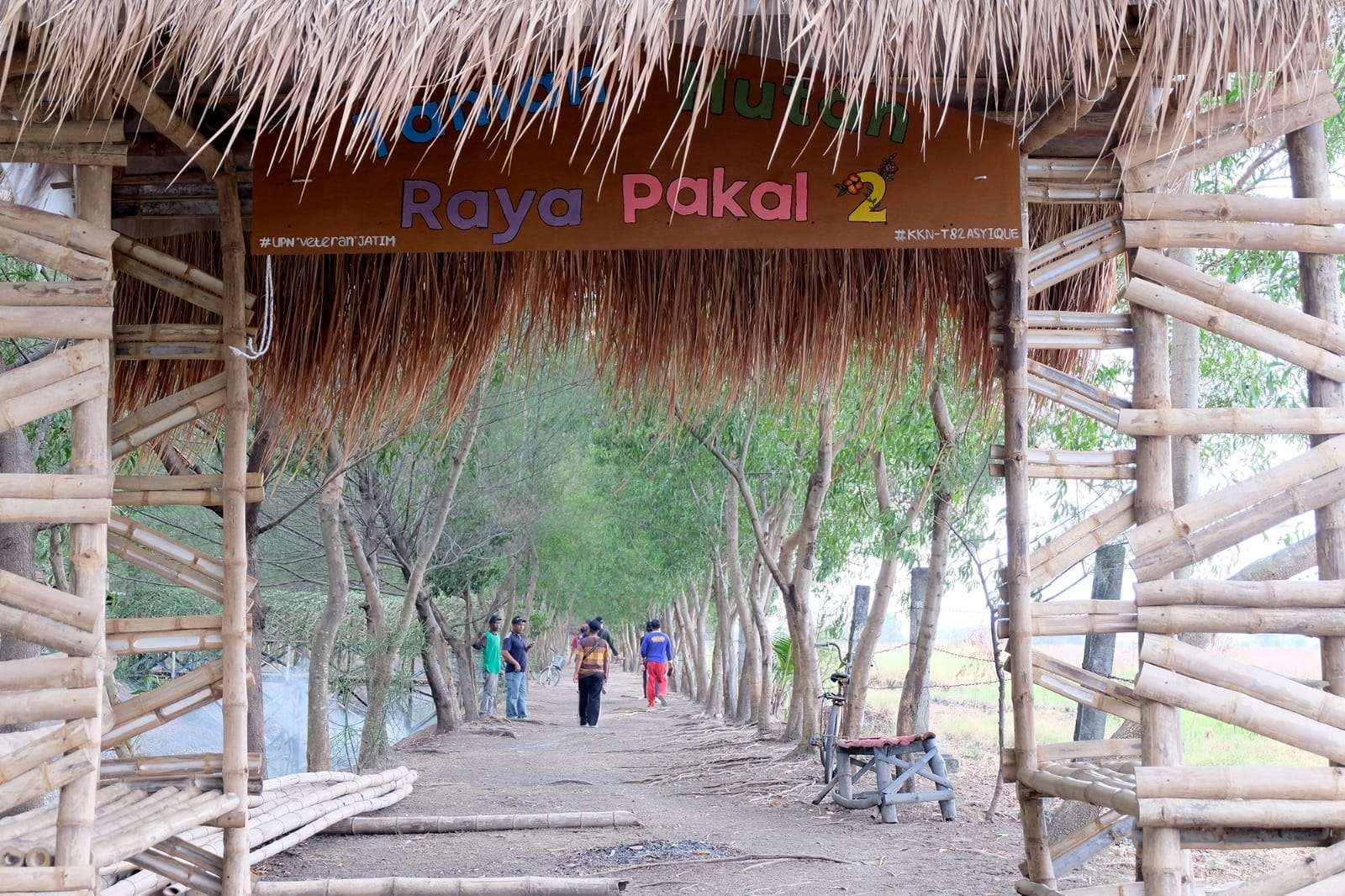 Taman Hutan Raya Pakal Surabaya sedang dalam tahap pembangunan untuk wahana baru. (Foto: Humas Pemkot Surabaya)