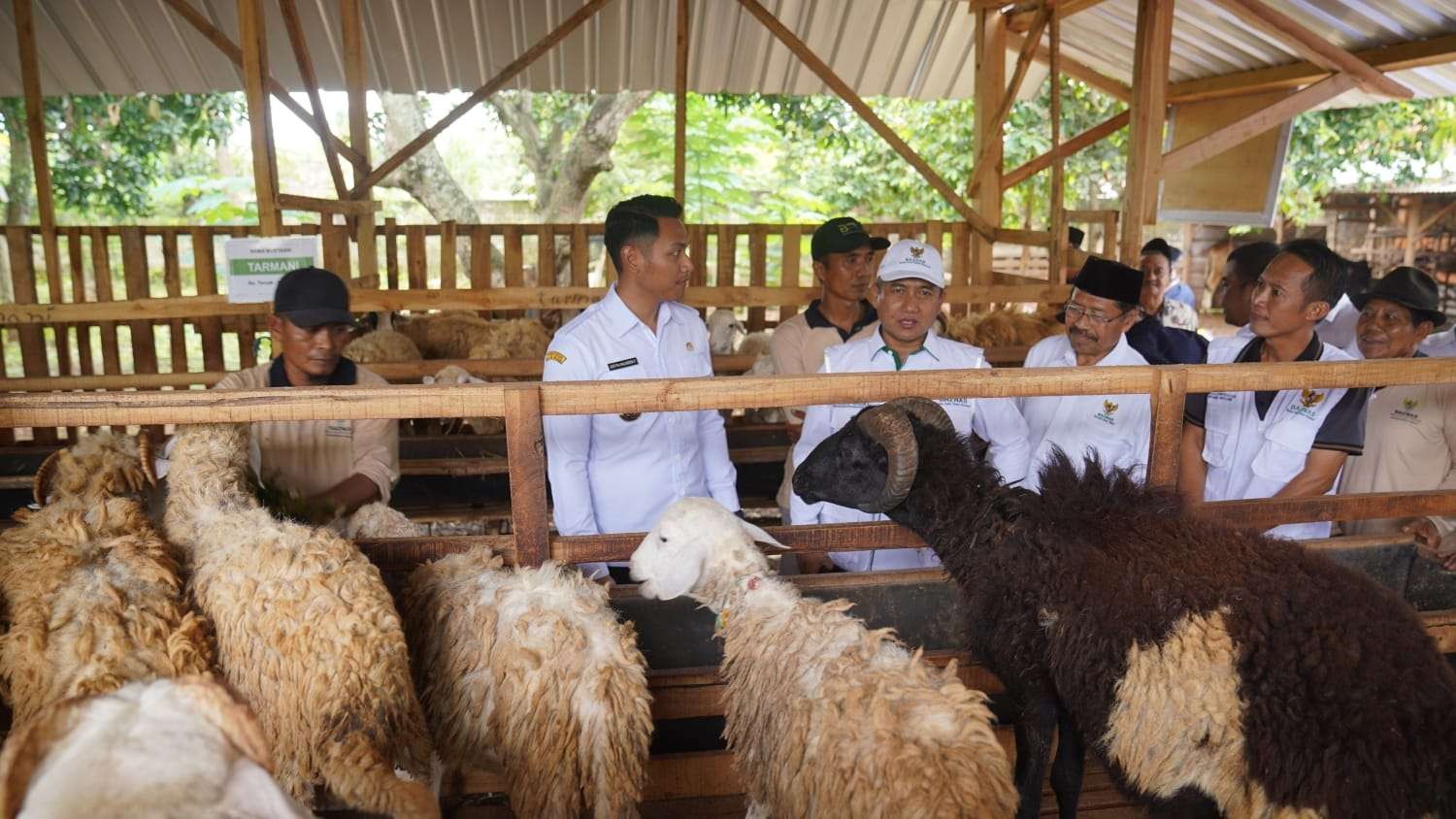 Wakil Ketua BAZNAS RI bersama Bupati Tuban meninjau balai ternak kambing yang baru diluncurkan di Desa Pongpongan, Kecamatan Merakurak, Kabupaten Tuban (Foto: Humas BAZNAS)