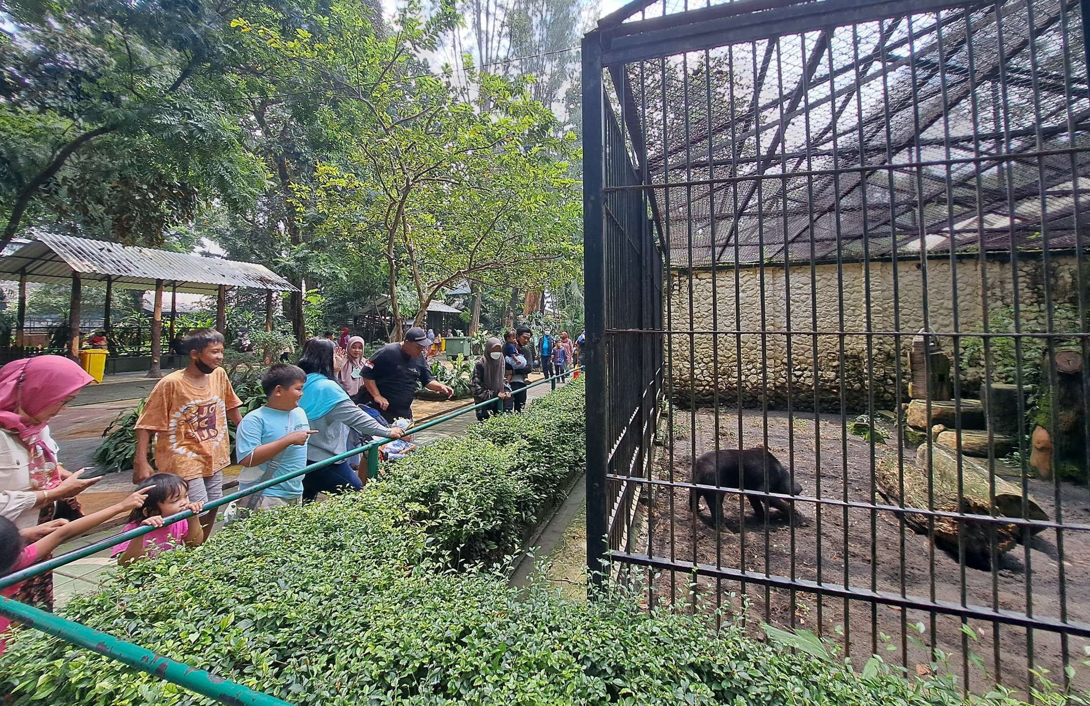 Ilustrasi KBS yang akan segera buka Night Zoo. (Foto: Pita Sari/Ngopibareng.id)