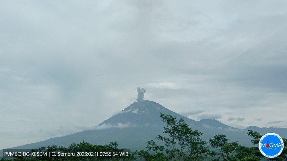 Gunung Semeru pagi ini, Sabtu, 11 Februari 2023 mengalami erupsi dengan mengeluarkan guguran awan panas dengan tinggi kolom letusan 600 meter. (Foto: PVMBG)
