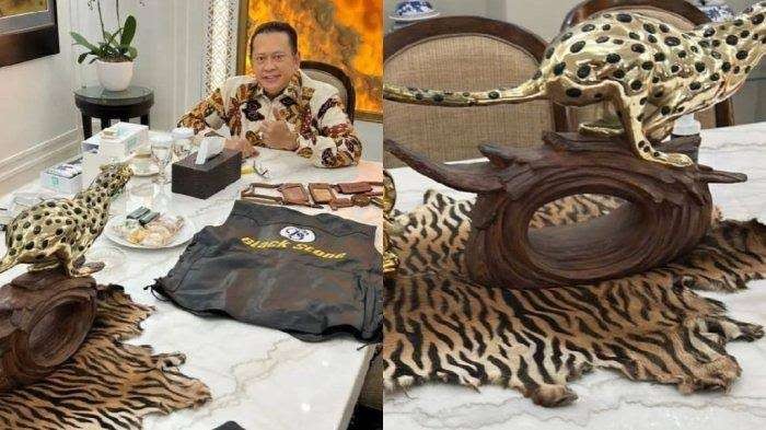 Ketua MPR RI, Bambang Soesatyo (Bamsoet) membantu pemasaran UMKM imitasi kulit harimau dan hewan lainnya. (Foto: inst @bambang.soesatyo)