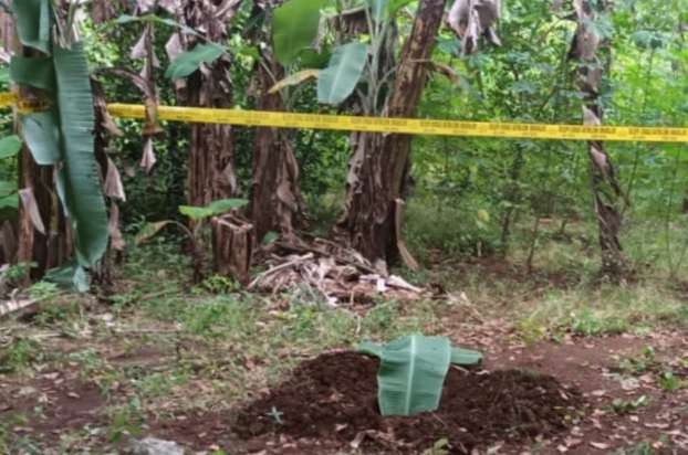 Gundukan tanah di ladang warga Dusun Pambon, Desa Brengkok, Kecamatan Brondong, Lamongan, Jawa Timur, ternyata makam bayi. (Foto: Istimewa)