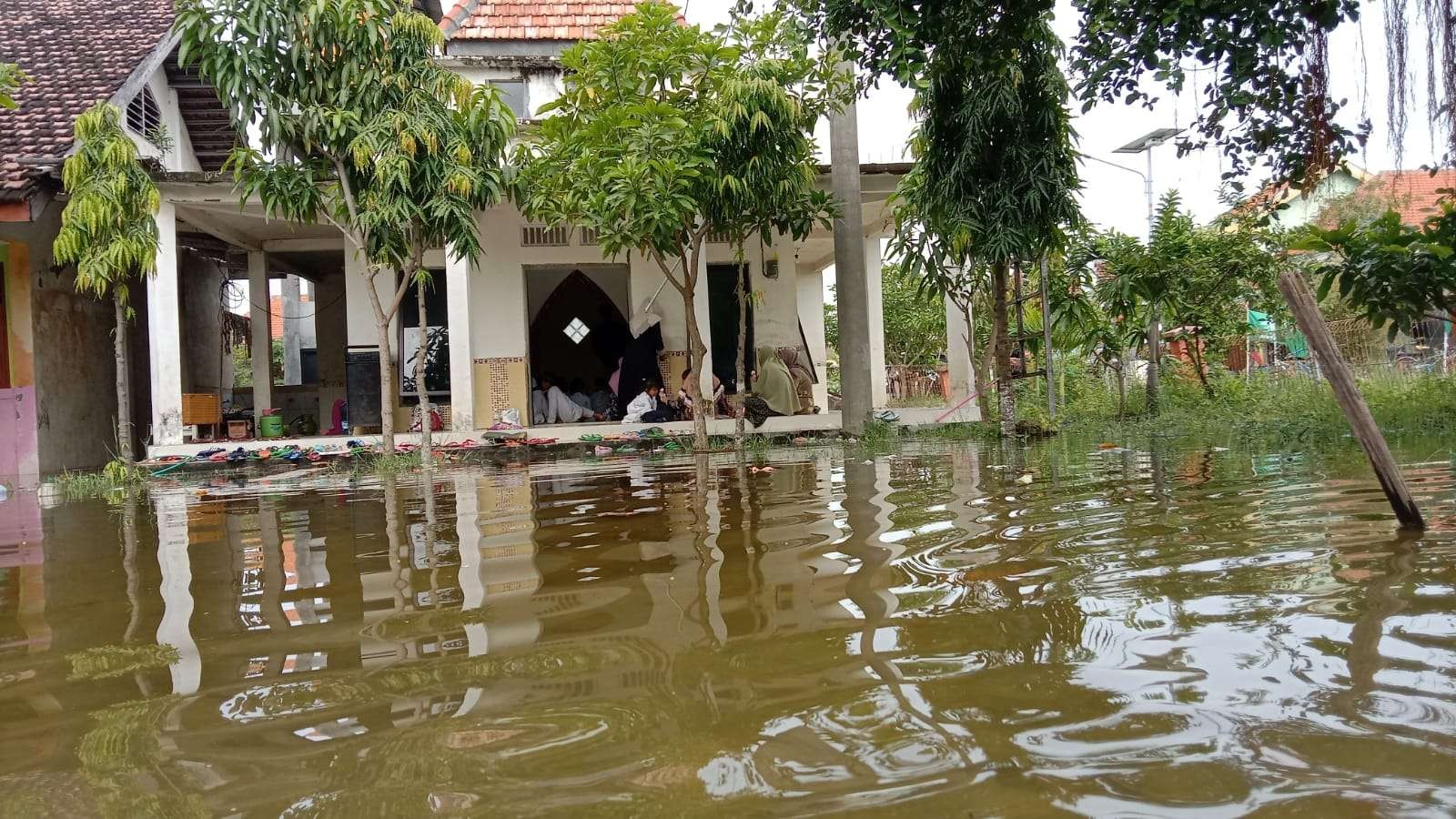 Situasi banjir di wilayah Kecamatan Kalitengah, akibat luapan  air sungai Bengawan Jero (Foto: Istimewa)