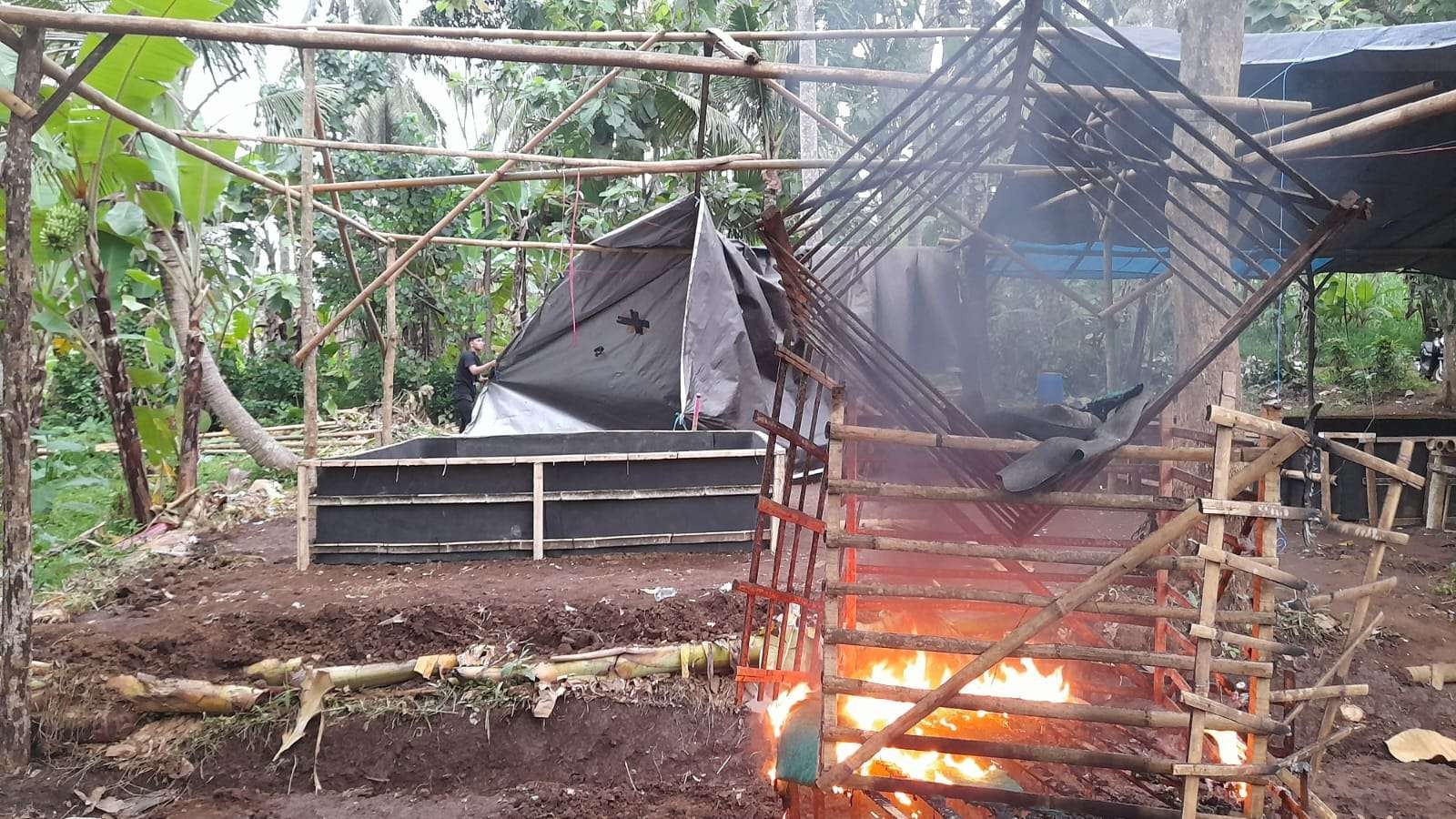 Arena sabung ayam yang dimusnahkan petugas Kepolisian (foto:istimewa)