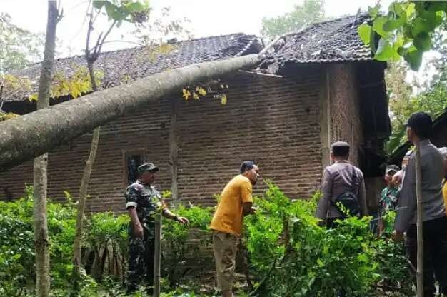 Pohon tumbang dihantam angin kencang menimpa rumah warga Desa Tlogosari, Kecamatan Sumbermalang, Situbondo.(foto: BPBD Situbondo)