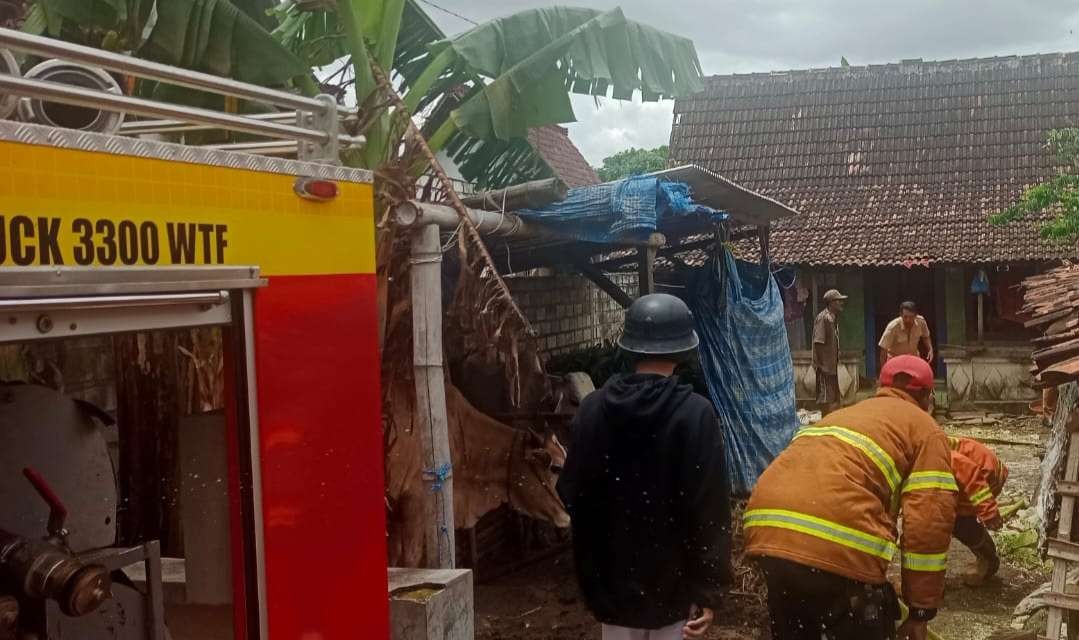 Petugas Damkar melakukan upaya pemadaman kebakaran di Desa Cendoro, Kecamatan Palang, Kabupaten Tuban (dok. Damkar Tuban)