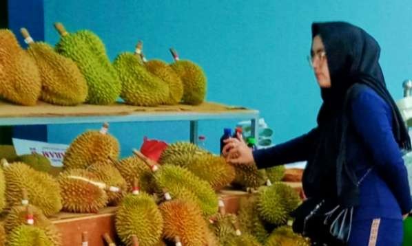 Memilih buah durian yang manis harus sabar, teliti dan hati hati ( foto' AsmanuSudharso/ngopibareng.id)