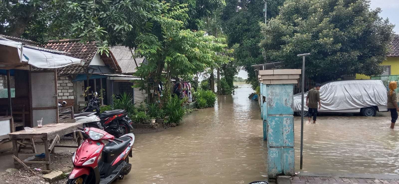 Kondisi banjir di Desa Pesanggrahan, Kecamatan Laren, Lamongan, Jawa Timur. (Foto: Istimewa)