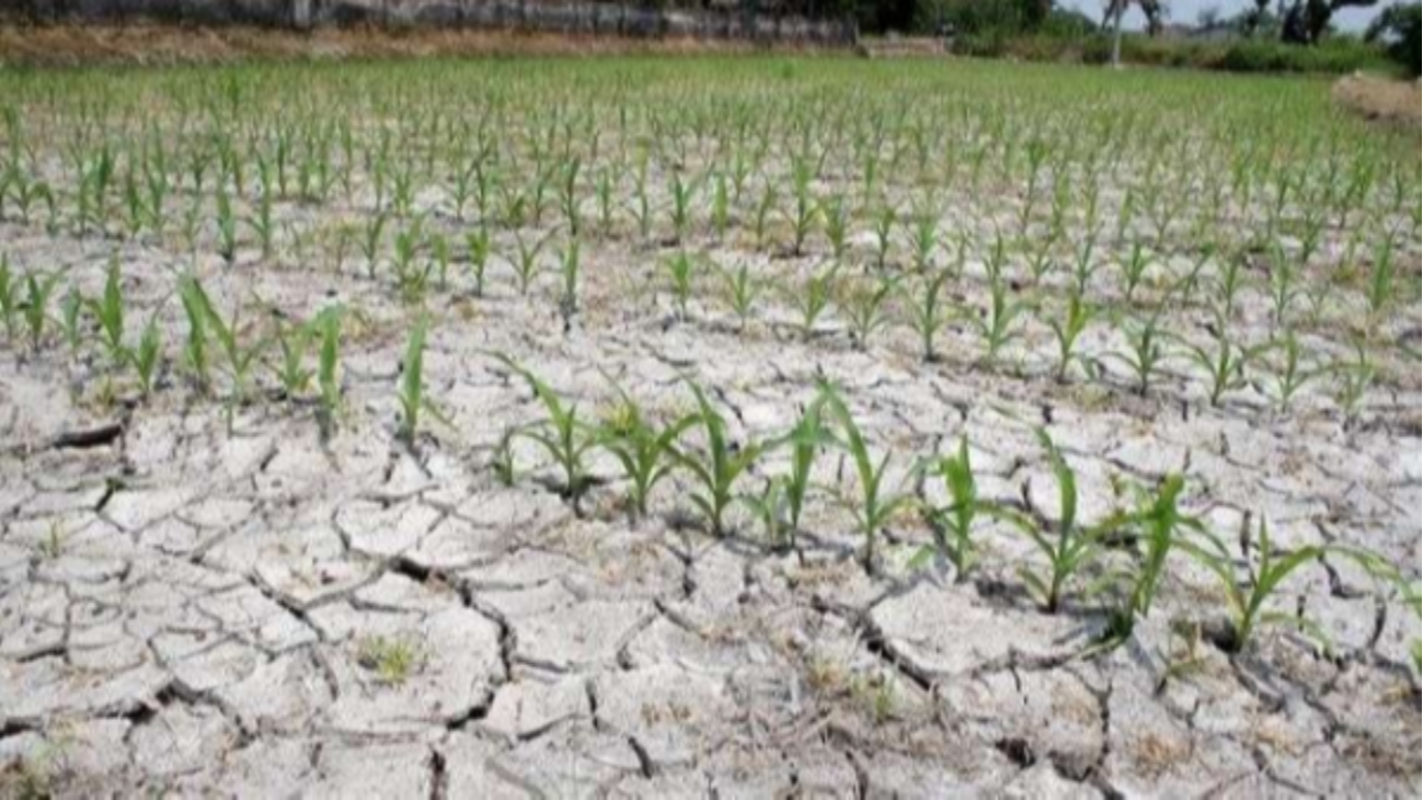 Sebagian wilayah Indonesia akan mengalami musim kemarau lebih awal yakni pada bulan April 2023. (Foto: ilustrasi)