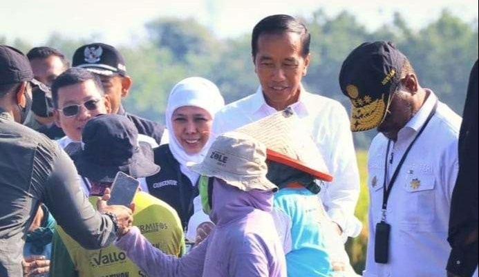 Gubernur Khofifah Indar Parawansa bersama Presiden RI Joko Widodo turut dalam panen raya padi di Kabupaten Ngawi, Jawa Timur. (Foto: Biro Adm. Pimpinan Pemprov Jatim)