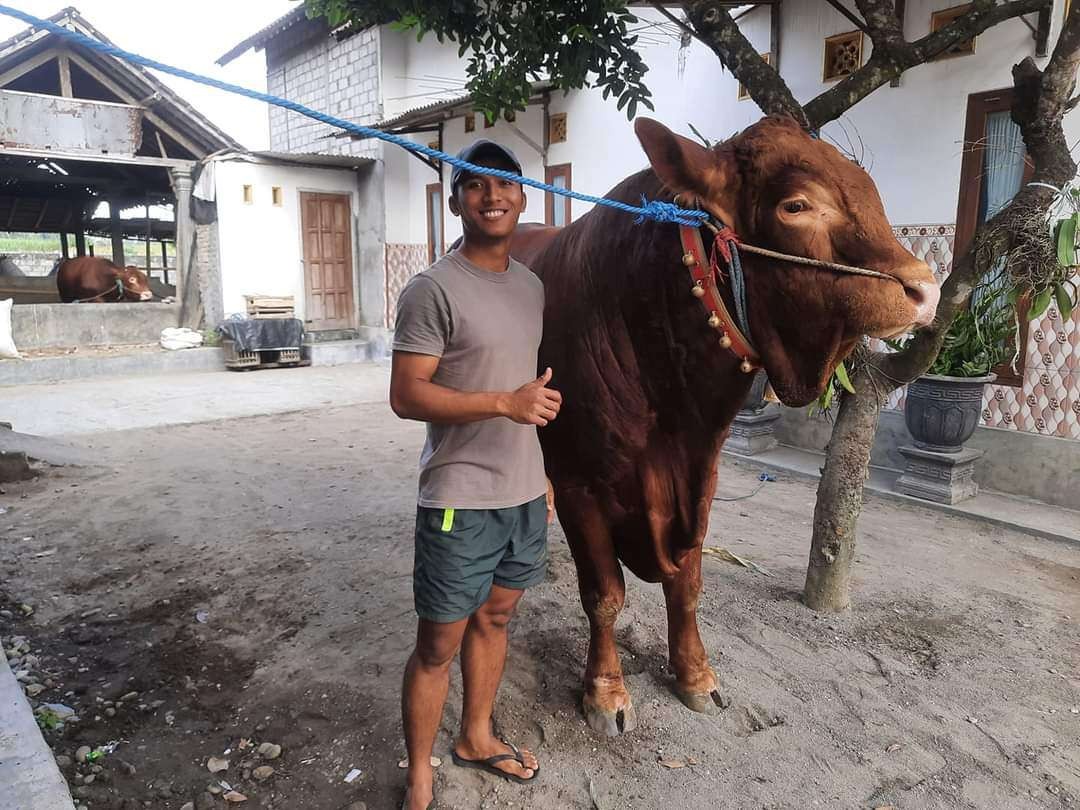 Bomber Persik Kediri, M Khanafi bersama hewan ternaknya sapi jenis limosin. (Foto: Dokumentasi M Khanafi)