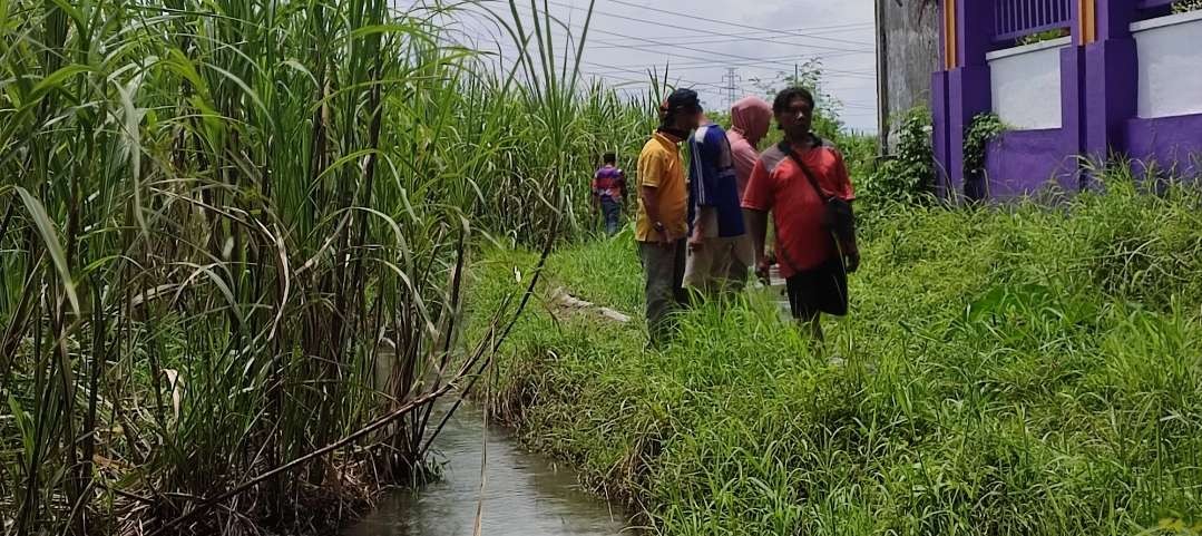 Balita yang terseret arus sungai di Pakunden Kediri ditemukan 200 meter dari lokasinya terjatuh, atau di sekitar area kebun tebu. (Foto: Fendhy Plesmana/Ngopibareng.id)