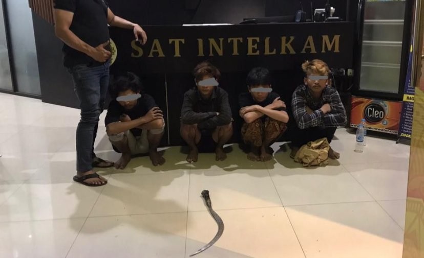 Empat pemuda belasan tahun diamankan di Mapolrestabes Surabaya usai serang 4 warung di Tambaksari, Surabaya. (Foto: Dok Polrestabes Surabaya)