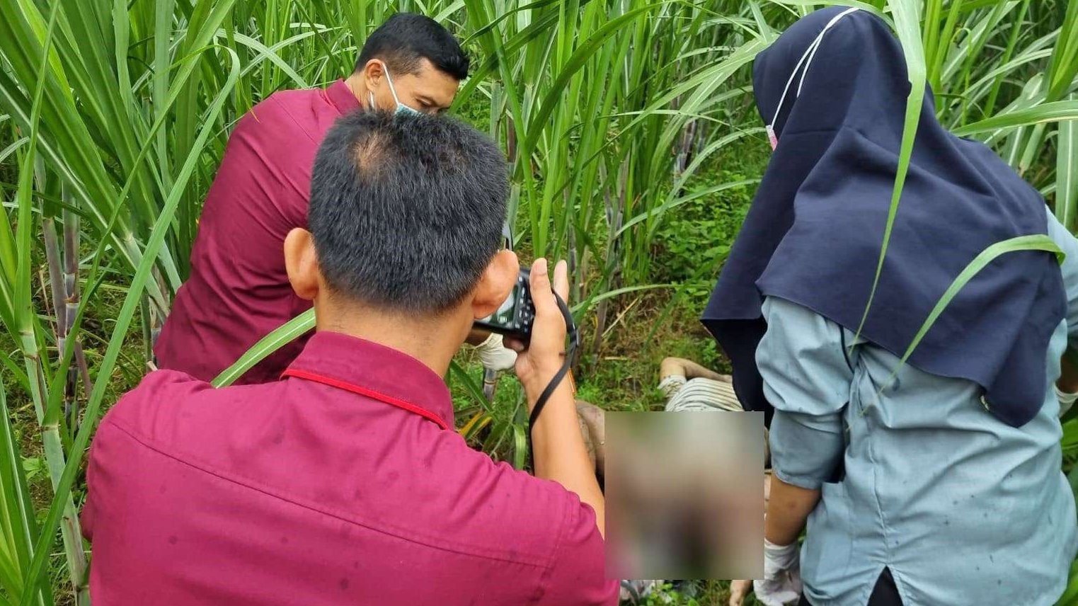 Penemuan mayat perempuan tanpa identitas dan orok bayi didekatnya di sebuah kebun tebu desa Siman, Kecamatan Kepung, Kediri. (Foto: Istimewa)