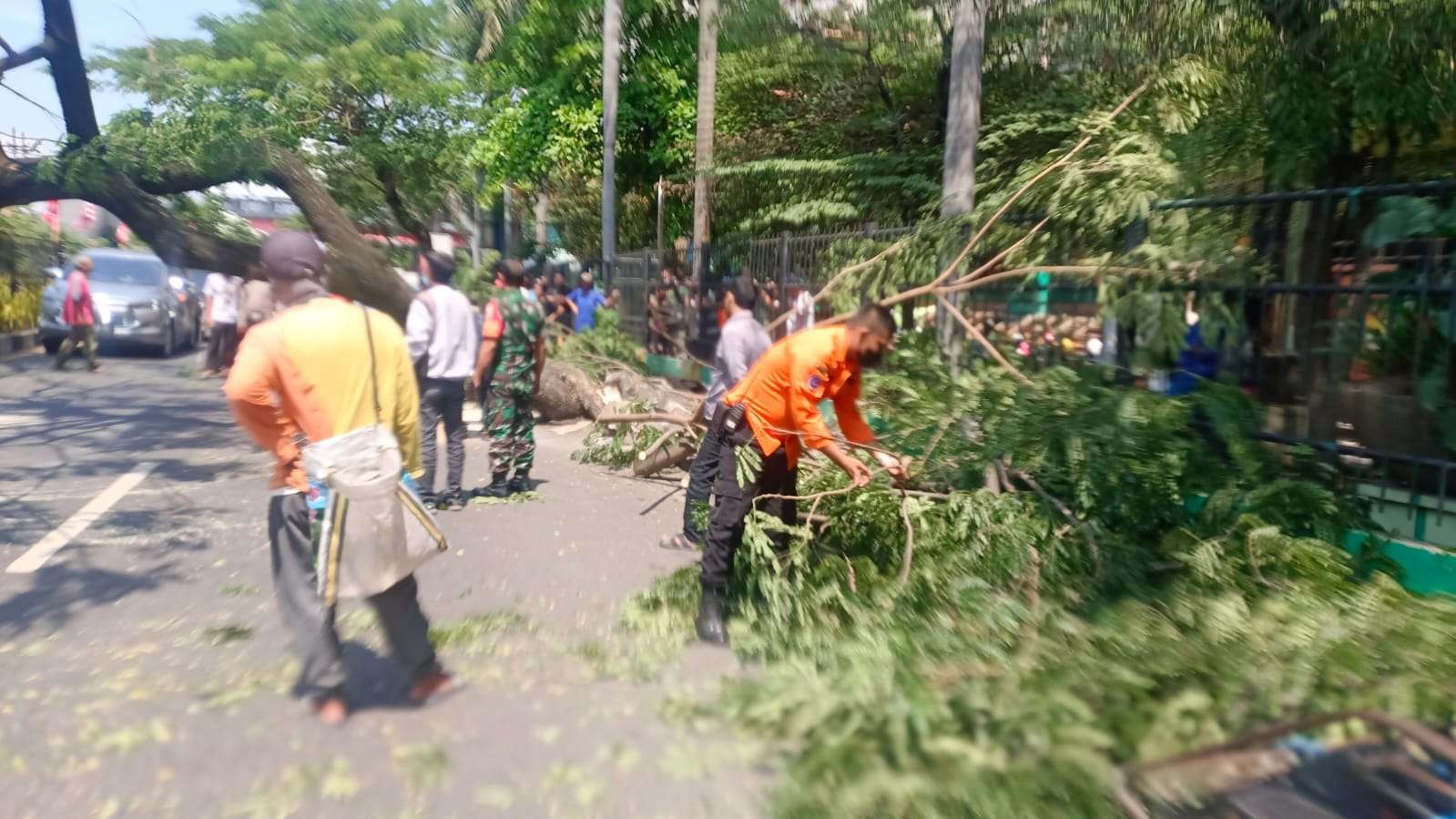 Pohon tumbang di depan DTC Wonokromo, Surabaya. (Foto: Command Center Surabaya)