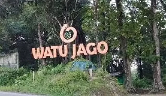 Kawasan Watu Jago, jalan yang kiri-kanannya hutan jati. Jalur ini,  menghubungkan Kabupaten Bojonegoro dengan Kabupaten Ngawi. (Foto: Istimewa)