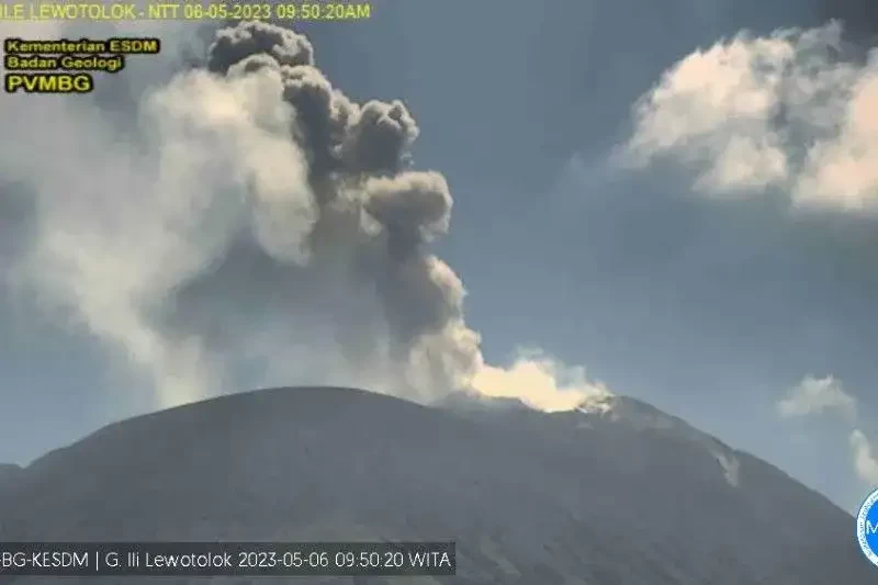 PVMBG melaporkan adanya letusan gunung api dengan kolom abu setinggi lebih kurang 700 meter di Gunung Ili Lewotolok. (Foto: Dok PVMBG)