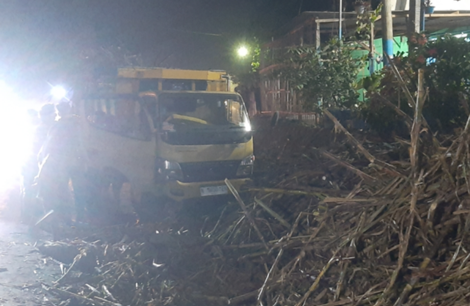 Kecelakaan terjadi di Jalan raya Desa Lempeni, Kecamatan Tempeh, Kabupaten Lumajang, Minggu 8 Mei 2023. Truk muatan tebu terguling. (Foto: Kompas)