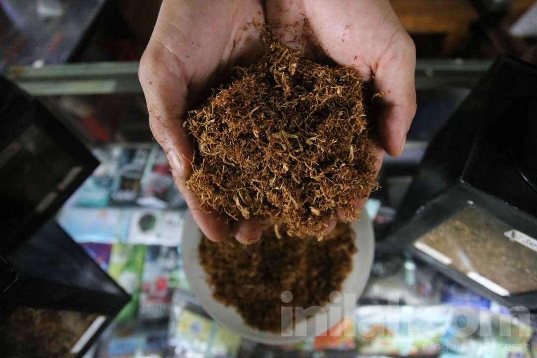 Tembakau yang siap dilinting untuk dijadikan rokok batangan. (Foto: dok/ngopibareng.id)