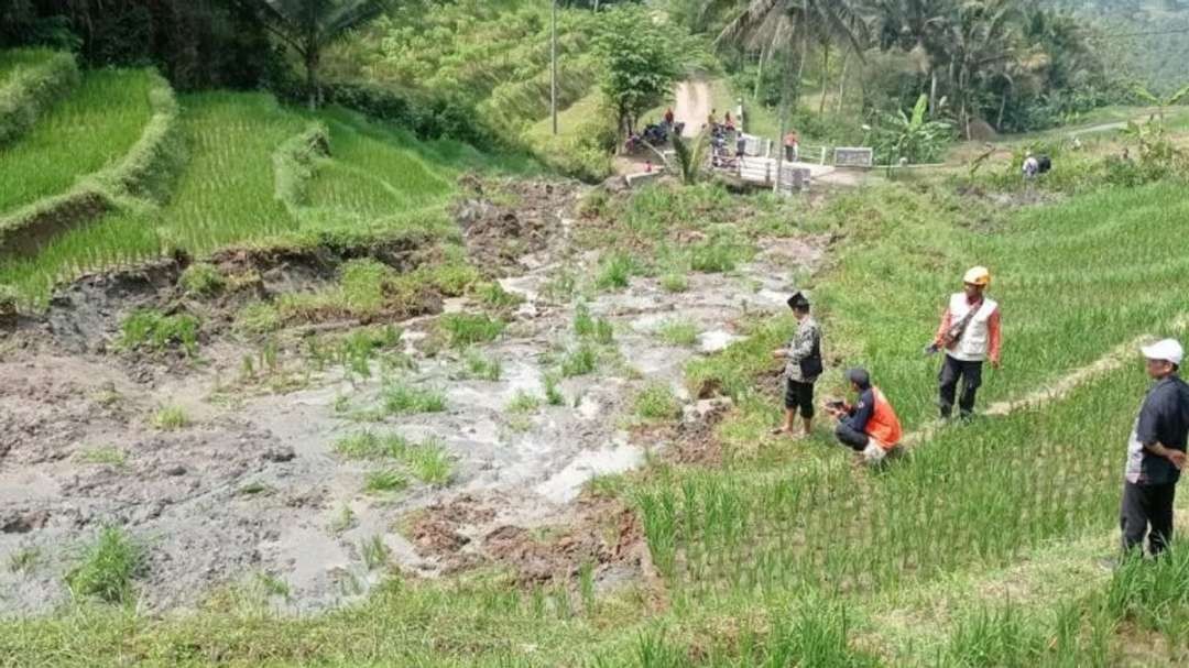 Tim BPBD saat meninjau lokasi terjadinya likuefaksi di Dusun Jebug, Desa Tumpakpelem, Ponorogo. (ANTARA/HO - BPBD Ponorogo)